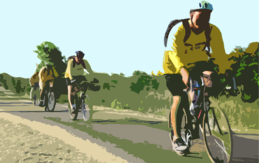 Bike Council